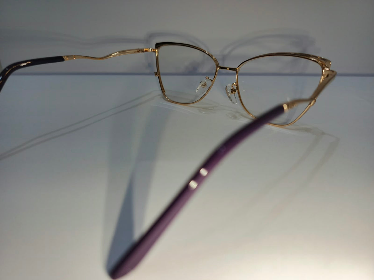 Side view: gold-tone eyeglass frame with maroon temples