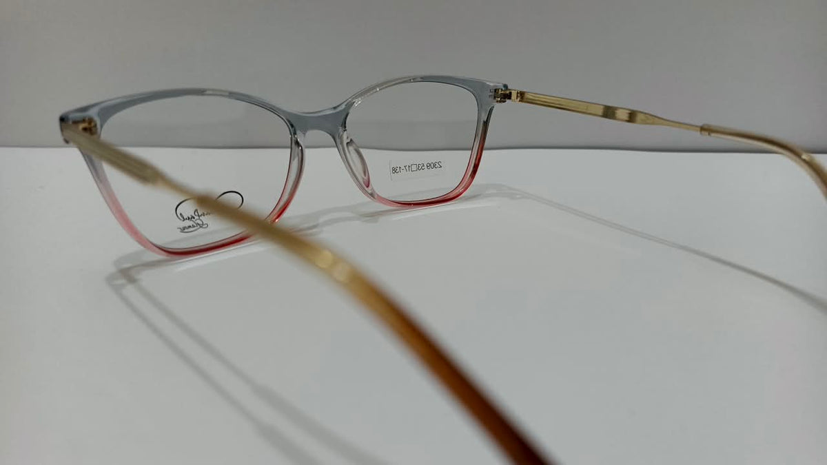 Rear angle of gray-pink 2309 eyeglasses with gold-tone temples