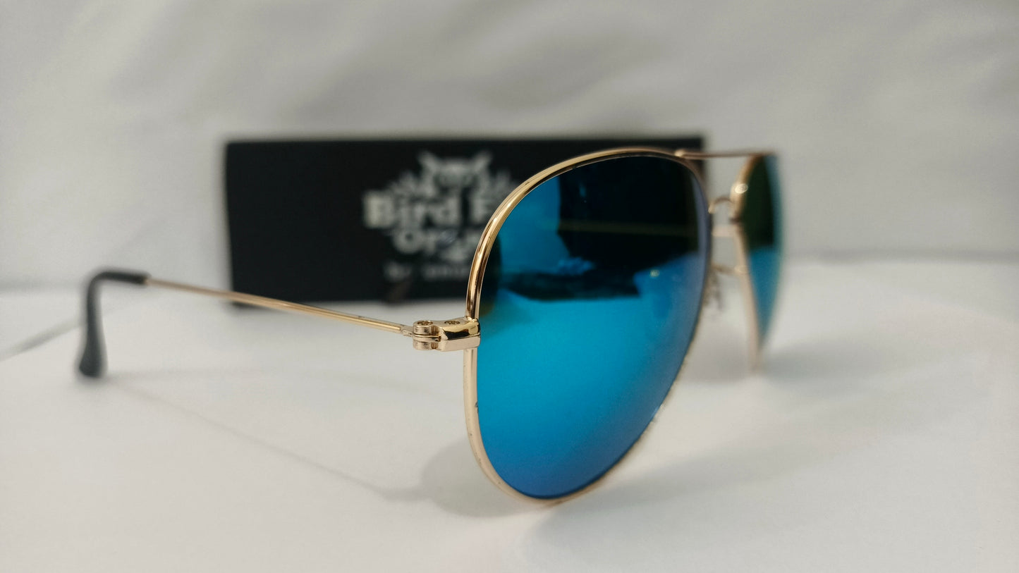 Classic Polarized Aviator Sunglasses : Timeless Design, 100% UV Protection | Bird Eye Optics
